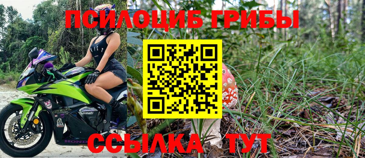 Псилоцибиновые грибы мицелий Кызыл