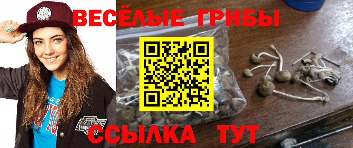 цены   Псилоцибиновые грибы прущие грибы  Вход с VPN  Кызыл 